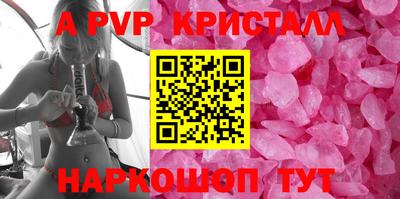крисы Донской