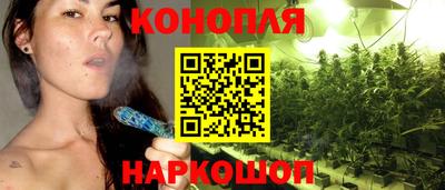 гашик Донецк