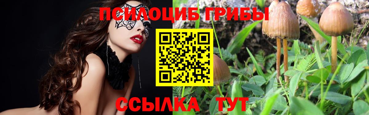 Менделеевск  Галлюциногенные грибы GOLDEN TEACHER  Вход с VPN 